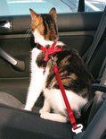 Trixie kattentuig voor in de auto rood
