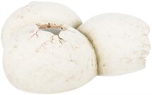 Trixie reptielenschuilplaats eieren polyesterhars wit