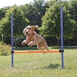 Trixie dog activity agility horde blauw / oranje