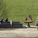 Best for birds vogelbad terrazzo granito grijs