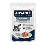 Advance veterinary diet dog / cat recovery herstel