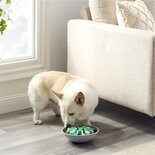 Outward hound wobble slo bowl