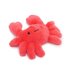 Jolly moggy under the sea crab_