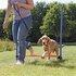 Trixie dog activity agility horde blauw / oranje_