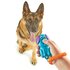 Brightkins smarty pooch training clicker puppy_