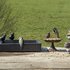 Best for birds vogelbad terrazzo granito grijs_