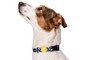 Morso halsband hond gerecycled color invaders paars_