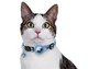 Croci halsband kat met tag houder lichtblauw_