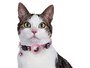 Croci halsband kat met tag houder roze_
